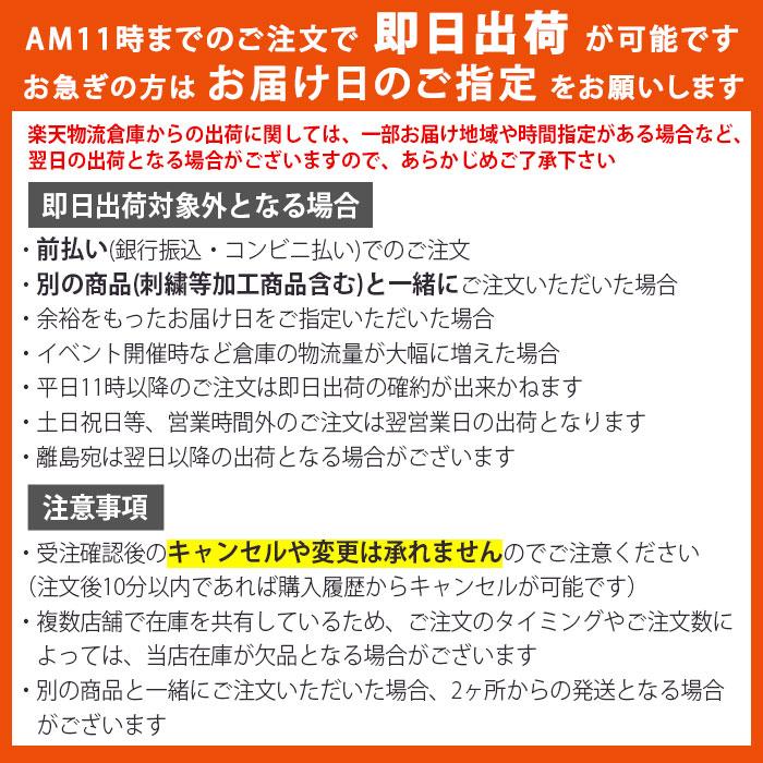 BURTLE（バートル） バッテリー 2026年 30V AC10 バッテリーのみ 単品