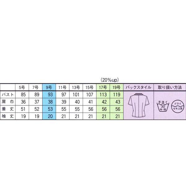 まきにゃんSELERY オーバーブラウス　9号　2枚セット セロリー（SELERY） 事務服 ブラウス オーバーブラウス 半袖 S-59902 S