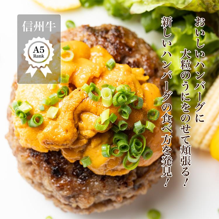 500円引きクーポン 送料無料 うにと食べるa5バーグ 3個 Amp 大粒濃厚 うに 100gamp 信州牛a5おとなバーグ3個 セット ハンバーグ 冷凍 和牛 牛 肉 美味しい お取り寄せ 父の日 Supplystudies Com