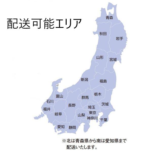 深型 調理台 間口30cm KTD6-85-30T (左・右／カラー5色) 【シリコン】