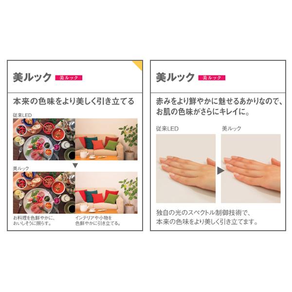 Panasonic パナソニック 天井埋込型 LEDダウンライト 白熱電球60 Panasonic パナソニック 天井埋込型 LEDダウンライト 白熱電球60