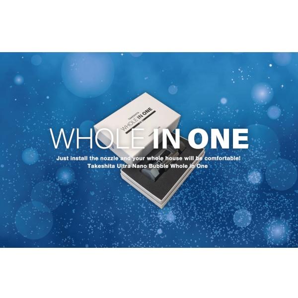 タケシタ ウルトラナノバブル WHOLE IN ONE 呼20水道管接続