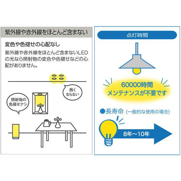 大光電機 ダウンライト 防雨形 φ100 昼白色 60W 非調光 DDL-5102WW｜unimoku｜06