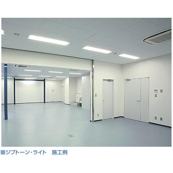 タイガージプトーンライト 9.5mm厚 455x910mm 240枚 30ケース タイガージプトーンライト 9.5mm厚 455x910mm 240枚 30ケース