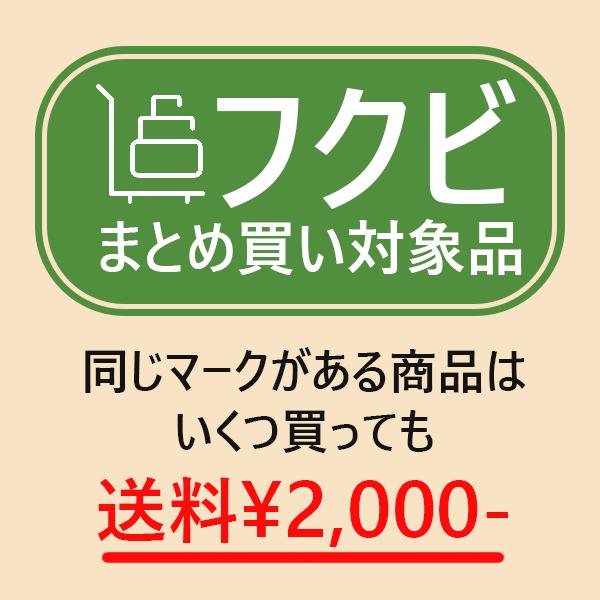 バスパネル 見切 1本売 3ｍ  フクビ 浴室 リフォーム｜unimoku｜03