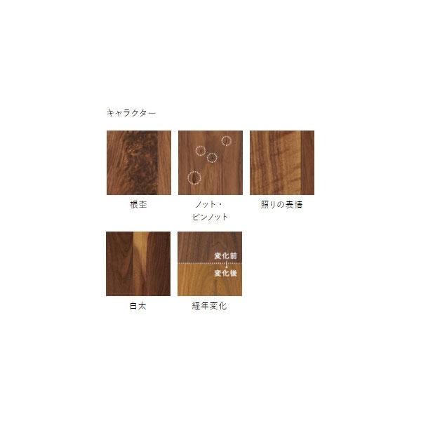 朝日ウッドテック ライブナチュラルプラス for Dog 2Pタイプ 朝日ウッドテック ライブナチュラルプラス for Dog 2Pタイプ