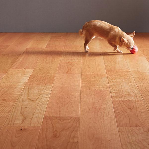 朝日ウッドテック ライブナチュラルプラス for Dog 2Pタイプ 朝日ウッドテック ライブナチュラルプラス for Dog 2Pタイプ