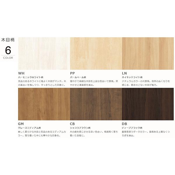 EIDAI 永大産業 スキスムS 片開きドアセット デザインYS(右吊り EIDAI 永大産業 スキスムS 片開きドアセット デザインYS(右吊り