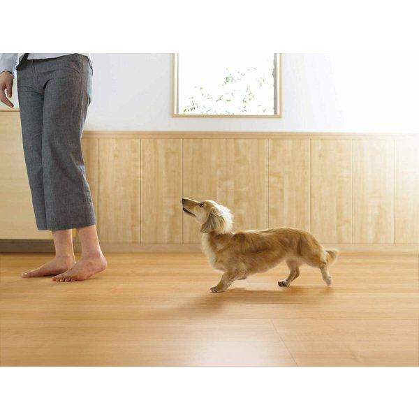 ワンラブフロアIV MT YN81-MT ティーブラウン 大建 MT Relifeジェイリライフ