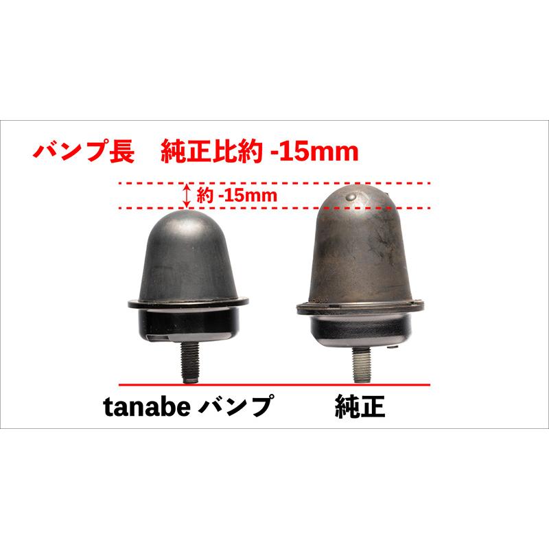 tanabe×G-TEC]AYH30W アルファードハイブリッド_リア(4WD_2500 HV_H27