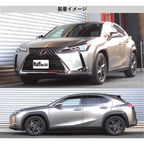 [RS-R_Ti2000 HALF DOWN]MZAA10 レクサス UX200_バージョンC(2WD_2000 NA_H30/11〜)用車検対応ダウンサス[T303THD]_3