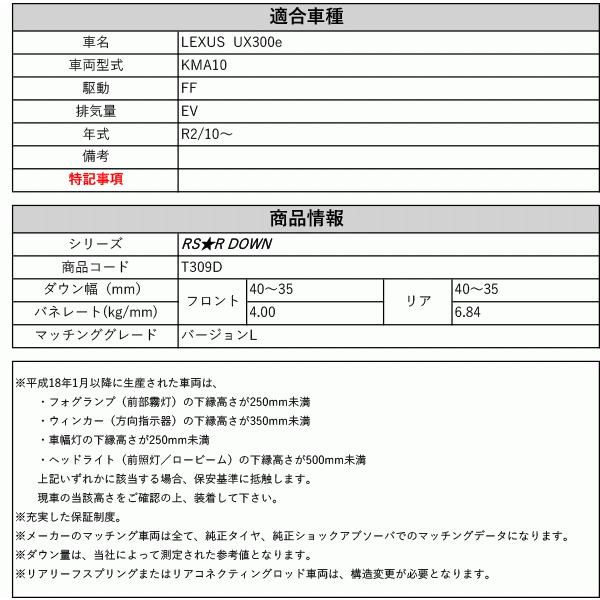[RS-R_RS★R DOWN]KMA10 レクサス UX300e_バージョンL(2WD_EV_R2/10〜)用車検対応ダウンサス[T309D]の画像