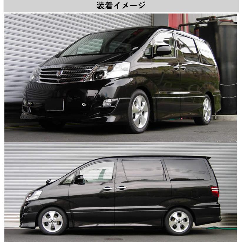 [RS-R_RS★R DOWN]ANH15W アルファード_AS(4WD_2400 NA_H17/4〜H20/4)用車検対応ダウンサス[T843W]_3