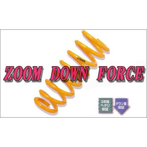 Zoom Down Force Spring 4本 パサートアルテオン各車共通