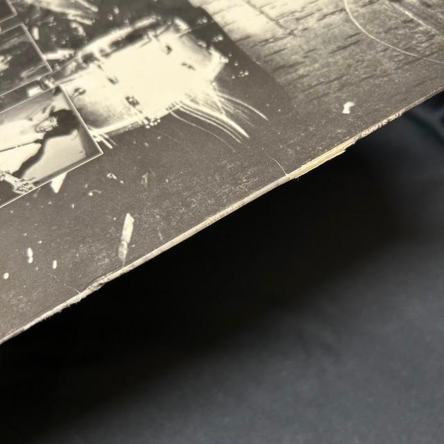 STAINS (80'S PUNK/L.A.) / STAINS (US-ORIGINAL)の画像