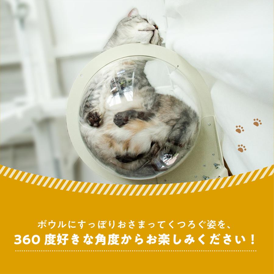 キャットタワー専用 クリアボウル【ねこゴロン オプション品】送料無料 北欧 おしゃれ 日本製 :090518:ユニークライフ - 通販 - Yahoo!ショッピング キャットタワー専用 クリアボウル【ねこゴロン オプション品】送料無料 北欧 おしゃれ 日本製 :090518:ユニークライフ - 通販 - Yahoo!ショッピング
