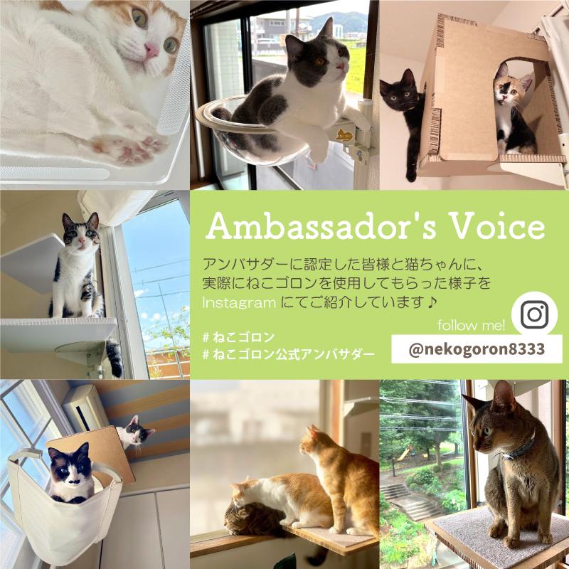 【セット商品】キャットタワー専用 交換棚板(ブラウン)+ボックス(ブラウン)【ねこゴロン オプション品】送料無料 おしゃれ 多頭飼い 日本製