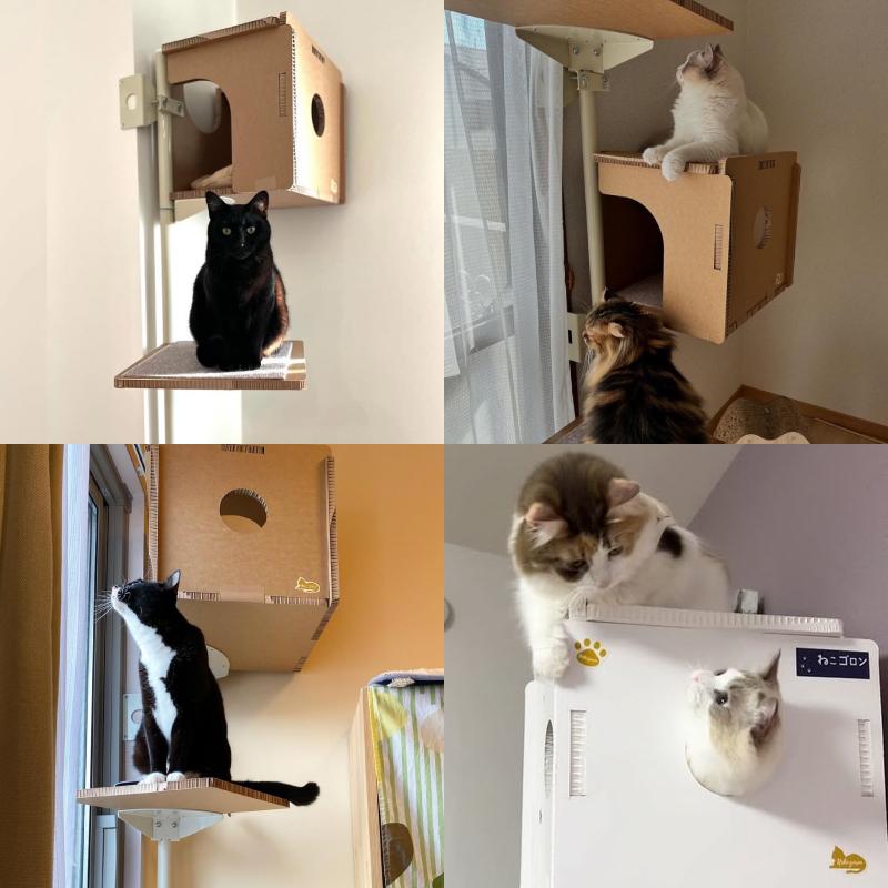【セット商品】キャットタワー専用 交換棚板(ブラウン)+ボックス(ブラウン)【ねこゴロン オプション品】送料無料 おしゃれ 多頭飼い 日本製