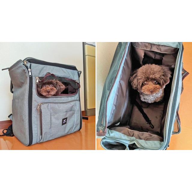 KABAG wonder ペットキャリー ケージ 防災リュック 未使用品 KABAG.wonder カバッグ.ワンダー ペット用 小型犬 ケージ リュック