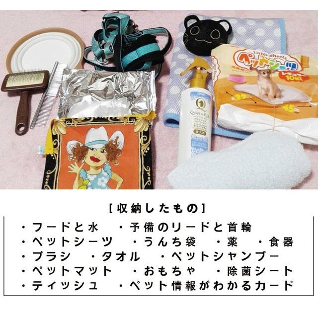 KABAG.wonder カバッグ.ワンダー ペット用 小型犬 ケージ リュック