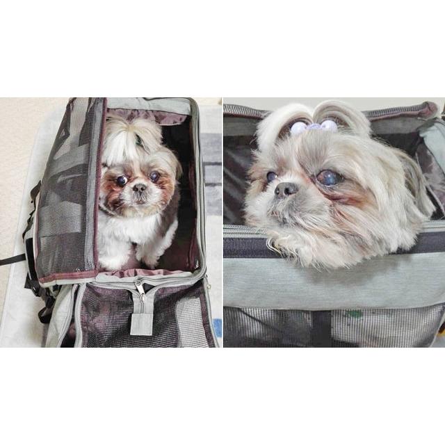 KABAG.wonder カバッグ.ワンダー ペット用 小型犬 ケージ リュック