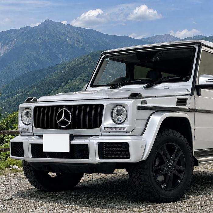 メルセデスベンツ Gクラス W463 1990-2018年式 パナメリカーナ グリル