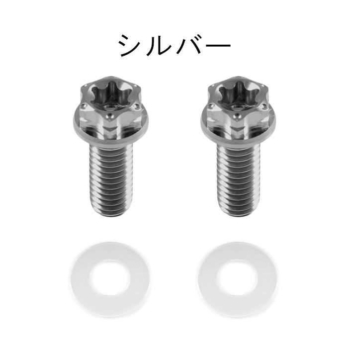 チタン ナンバーボルト 2本セット M6×15 バイク オートバイ 錆びない