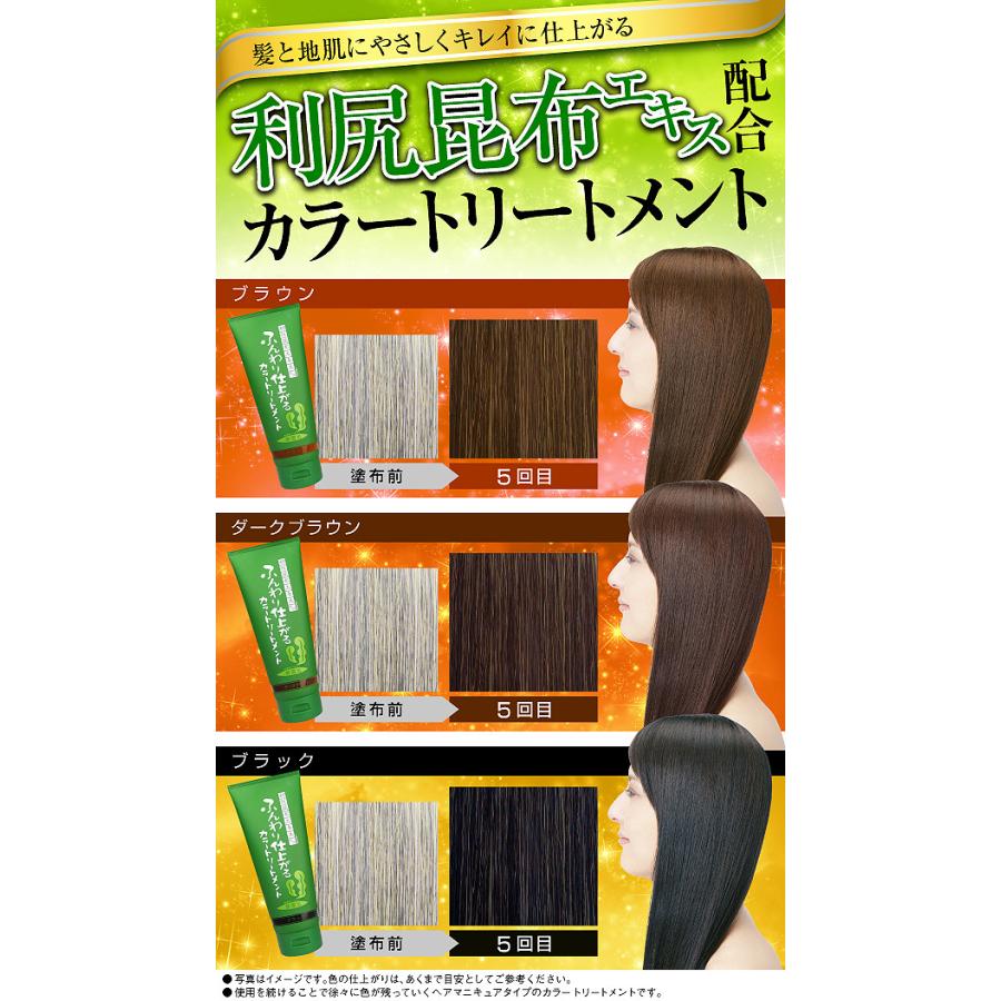 ふんわり仕上がる カラートリートメント 200g 利尻昆布 白髪染め