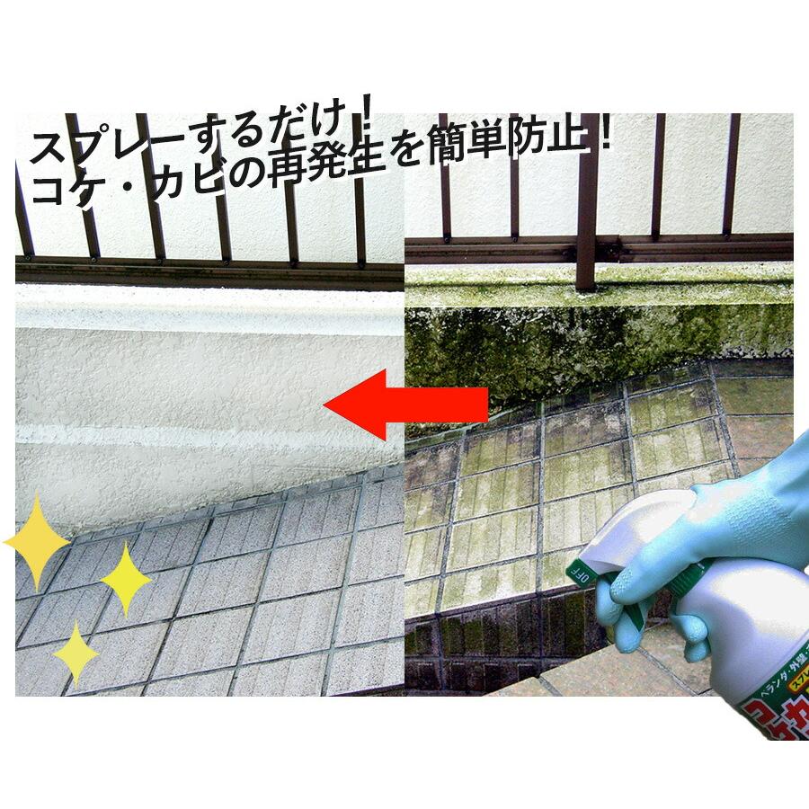 コケ取り カビ取り スプレー 850ml コケカビ取り 屋外用 洗浄剤 コケ