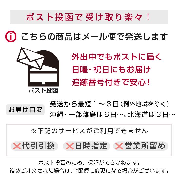 スラックス メンズ 夏用 ビジネス クールビズ 洗える 清涼素材 ワンタック 涼しい 714301 送料無料 メール便｜unitedgold｜16