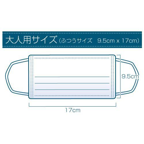 名入れラベル付き 販促マスク 600枚セット 大人用 ブラック フルカラー印刷 個包装 プリーツマスク｜unity-store｜02