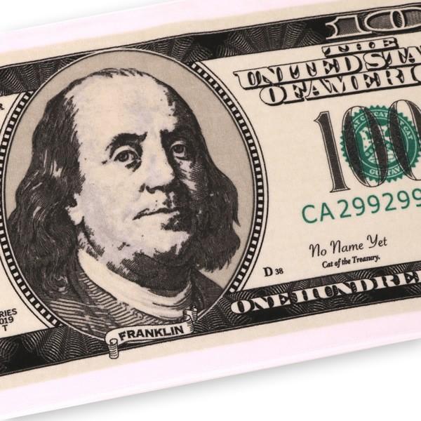 100ドル フェイスタオル お札タオル 34cm×85cm 日本製 ポイント消化  送料無料 |  | 01