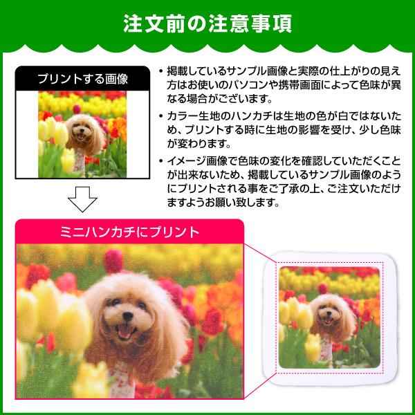オリジナルミニハンカチ　 20cm×20cm　50枚 　オリジナルプリント フルカラー印刷 ノベルティ製作  はんかち　自作 写真 ペット プレゼント 送料無料 |  | 08
