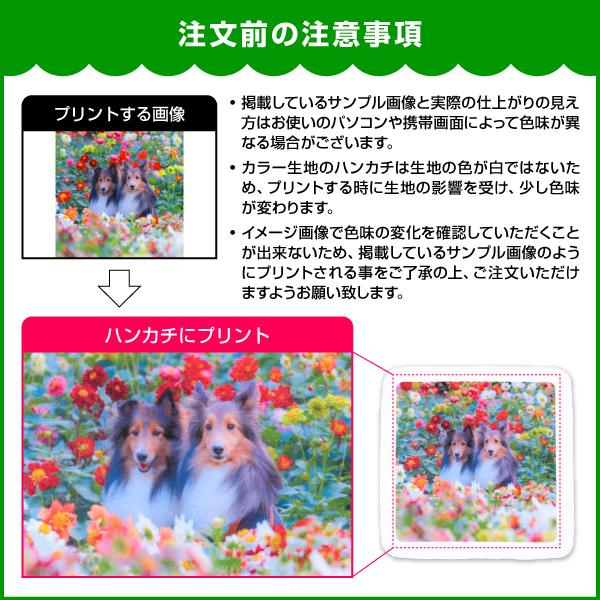 オリジナルミニハンカチ　 25cm×25cm　100枚　オリジナルプリント フルカラー印刷 ノベルティ製作  はんかち　自作 写真 ペット プレゼント 　 送料無料の画像