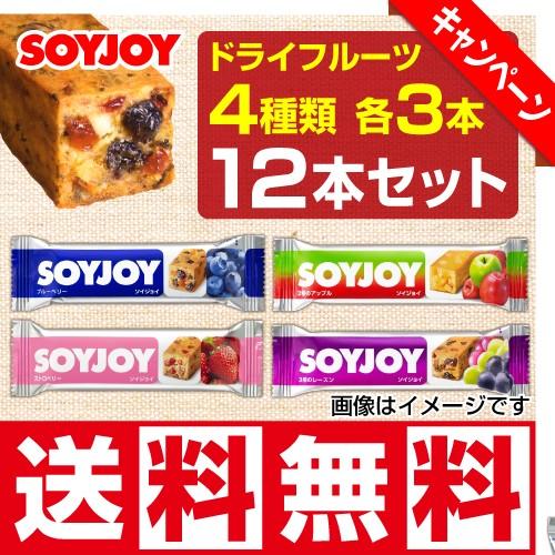 ソイジョイ フルーツ系4種類 各3本ずつ 12本セット まとめ買い 3種のレーズン／2種のアップル／ストロベリー／ブルーベリー 送料無料 | 大塚製薬