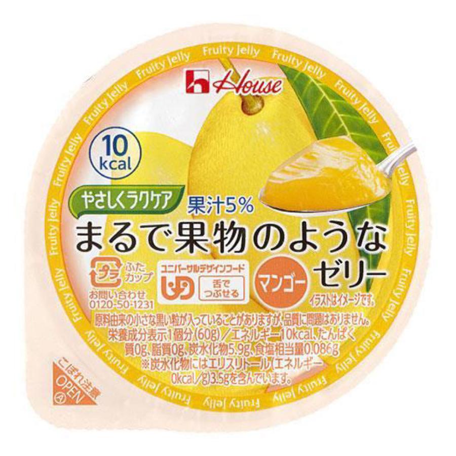 ハウス やさしくラクケア まるで果物のようなゼリー マンゴー 60g 48個 | 