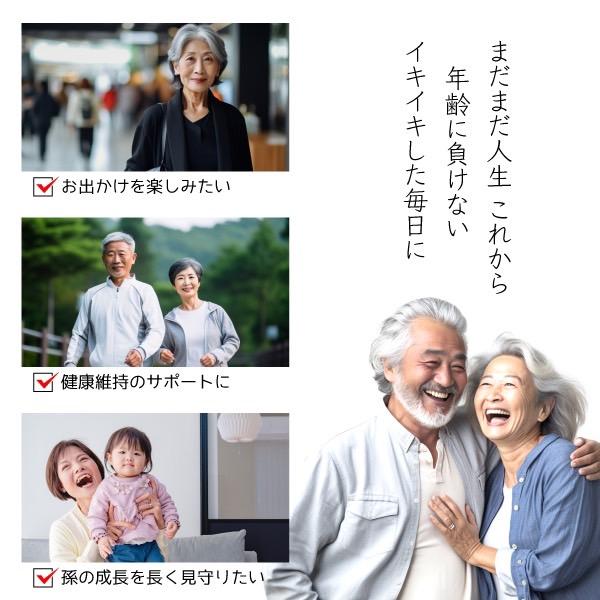 発売記念特別価格) 高麗人参 高麗紅参精 長寿紅参 6年根 高麗 発売記念特別価格) 高麗人参 高麗紅参精 長寿紅参 6年根 高麗