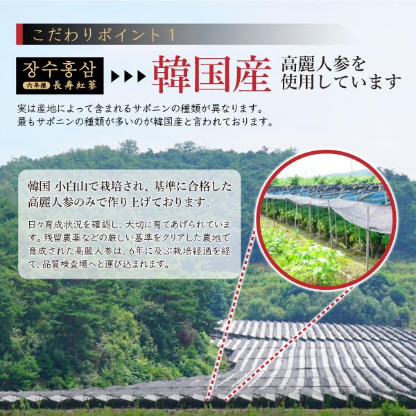 発売記念特別価格) 高麗人参 高麗紅参精 長寿紅参 6年根 高麗 発売記念特別価格) 高麗人参 高麗紅参精 長寿紅参 6年根 高麗