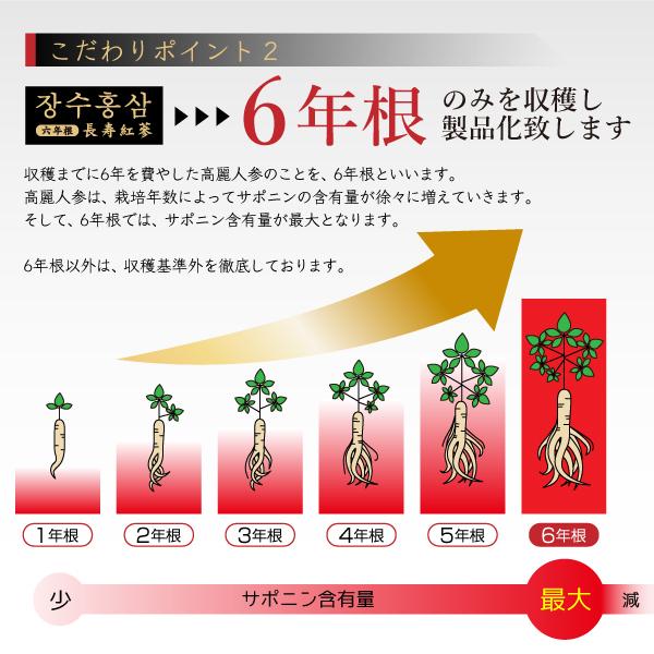 発売記念特別価格) 高麗人参 高麗紅参精 長寿紅参 6年根 高麗 発売記念特別価格) 高麗人参 高麗紅参精 長寿紅参 6年根 高麗