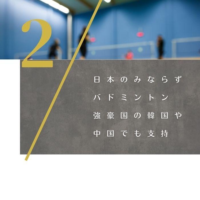 バドミントン シャトル 検定球 1ダース 12球 試合 (高校生 社会人 中級