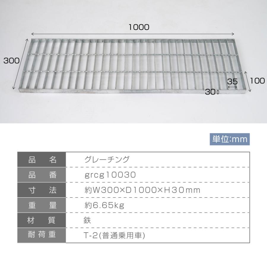 溝蓋 グレーチング 溝ふた 側溝 一般側溝用 溝幅300mm 長さ1000mm 歩道 