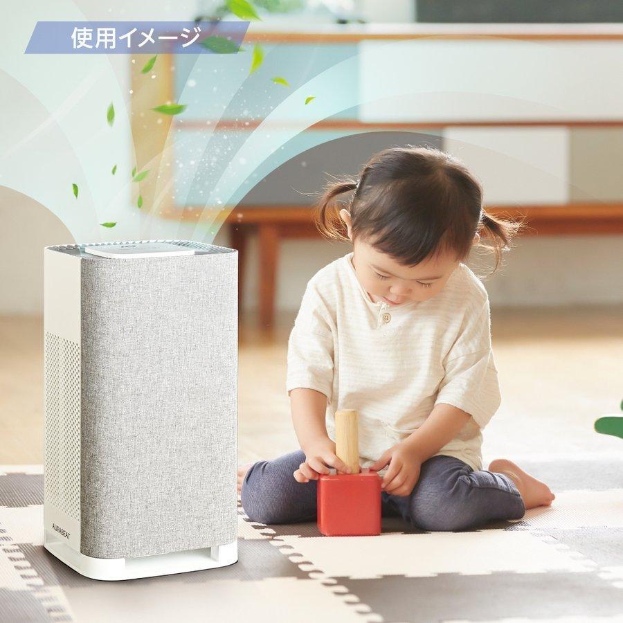 日本初！AG+銀イオンプラズマ 銀イオン空気清浄機 約6〜15畳用