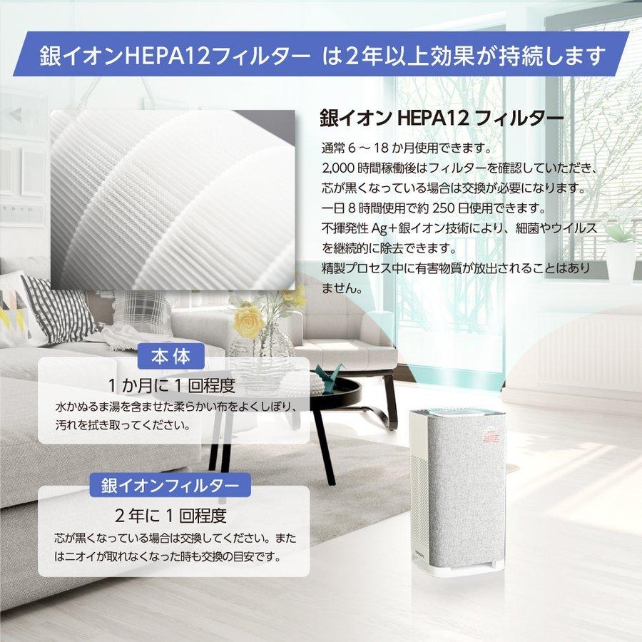 1台限り特別価格❣ 空気清浄機 銀イオン高性能抗 銀イオンプラズマ空気清浄機 日本初！AG+銀イオンプラズマ 銀イオン空気清浄機 約6〜15畳用