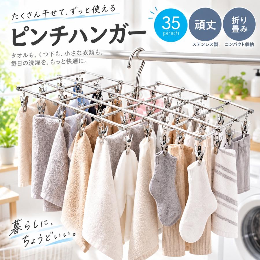 とんねるず TUNNELS アクリルハンガー 2個セット 物干しハンガー ピンチハンガー ステンレス 洗濯ハンガー 洗濯ばさみ