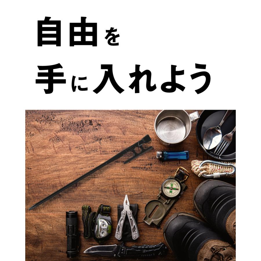 ペグ 30cm 日本製 IWANO 鍛造 16本セット 鍛造ペグ カチオン電着 塗装