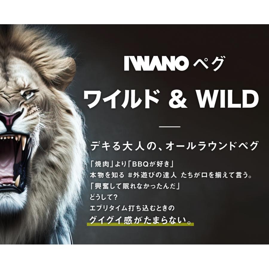 ペグ 30cm 日本製 IWANO 鍛造 16本セット 鍛造ペグ カチオン電着 塗装