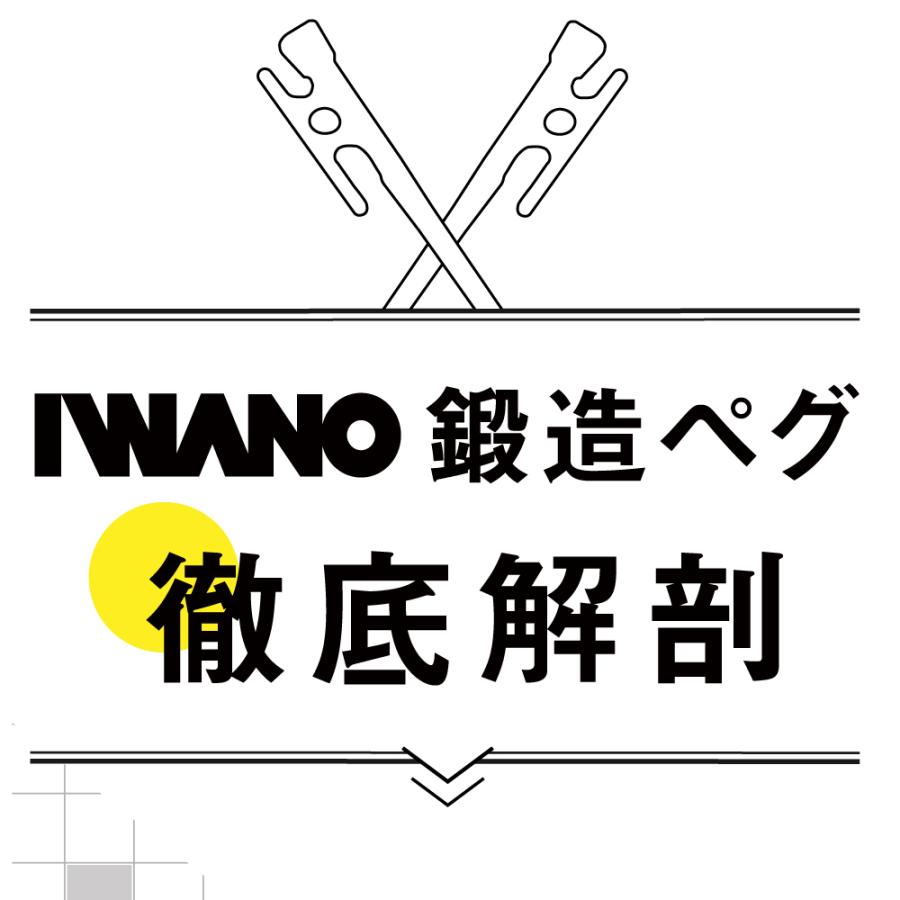 ペグ 30cm 日本製 IWANO 鍛造 16本セット 鍛造ペグ カチオン電着 塗装