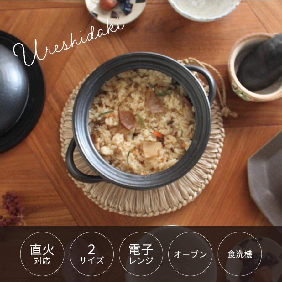 日本製 うれし炊き 3合 】 IWANO 超耐熱性 オーブン レンジ 食洗機対応