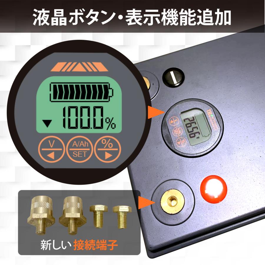 Unitime リン酸鉄リチウムイオンバッテリー LiFePO4 24V100Ah 2560Wh BMS バッテリーマネージメントシステム PSE認証 送料無料