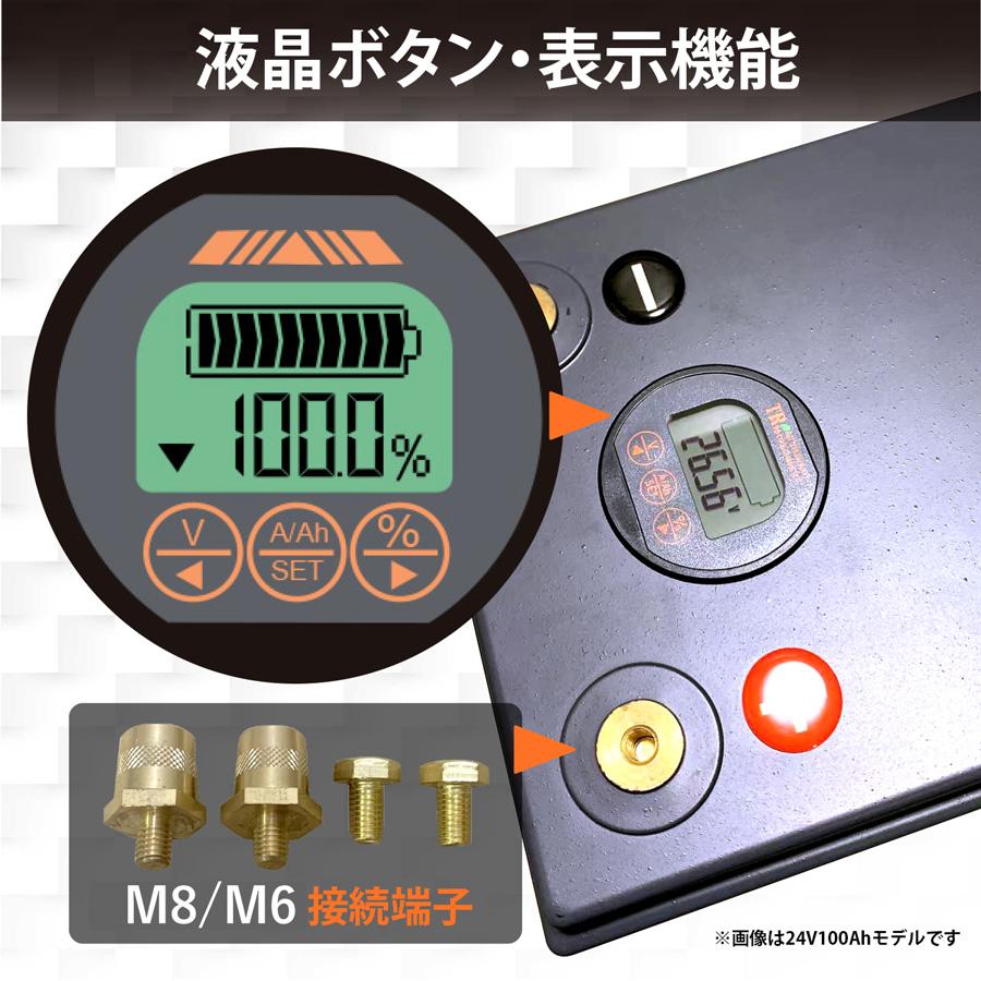 Unitime リン酸鉄リチウムイオンバッテリー LiFePO4 36V 100Ah 3840Wh